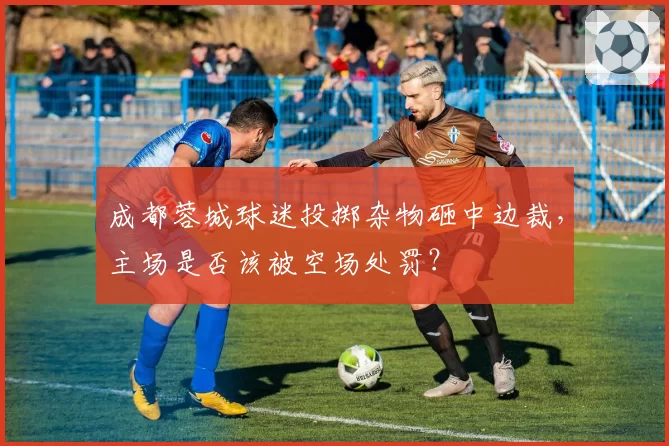 成都蓉城球迷投掷杂物砸中边裁，主场是否该被空场处罚？