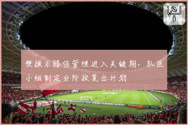 樊振东膝伤管理进入关键期，队医小组制定分阶段复出计划